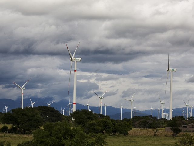 Energía eólica: la lucha por el viento en México