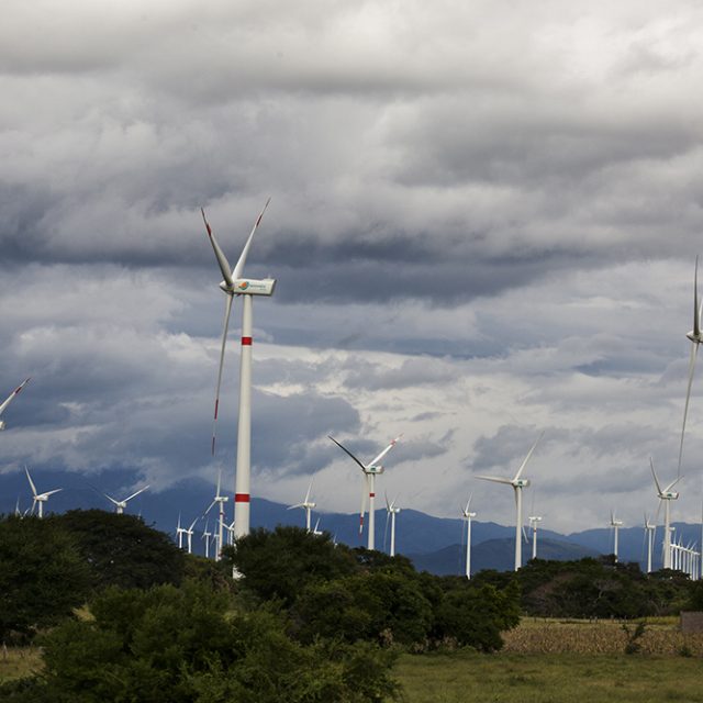 Energía eólica: la lucha por el viento en México