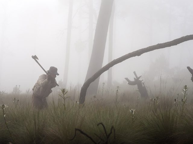 Guardia Forestal, defensa del pulmón de la Ciudad de México