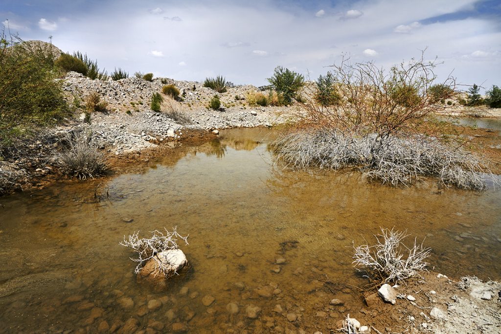 Contaminación del agua en los alrededores de la mina La Platosa. Ejido La Sierrita, Durango