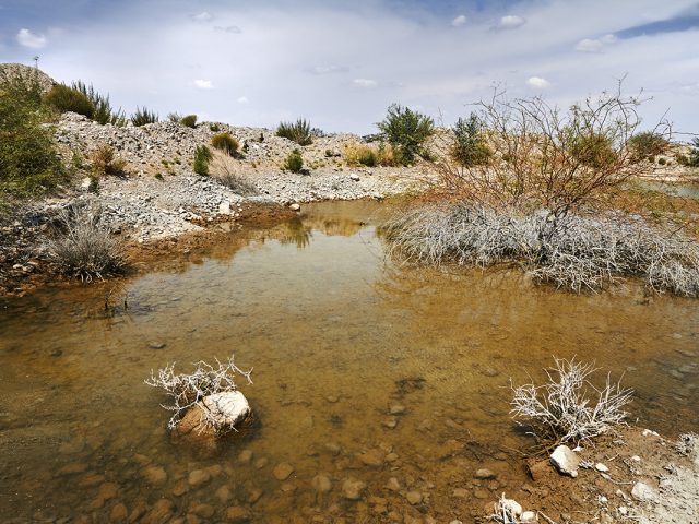 Contaminación del agua en los alrededores de la mina La Platosa. Ejido La Sierrita, Durango